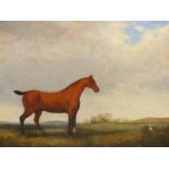 19TH CENTURY NAIVE SCHOOL, BAY HORSE IN AN EXTENSIVE LANDSCAPE, OIL ON CANVAS (RELINED), 74 x