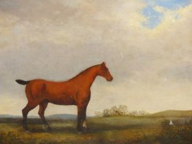 19TH CENTURY NAIVE SCHOOL, BAY HORSE IN AN EXTENSIVE LANDSCAPE, OIL ON CANVAS (RELINED), 74 x