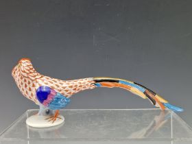 A HEREND MODEL OF A GOLDEN PHEASANT. W 22cms.