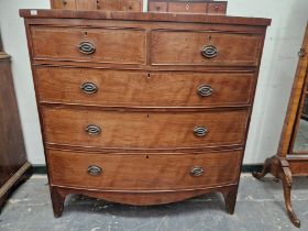 A 19th C CHEQUER LINE INLAID MAHOGANY BOW FRONT CHEST OF TWO SHORT AND THREE LONG DRAWERS ON BRACKET