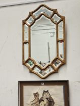 A VINTAGE WALL MIRROR WITH MULTI PLATE BORDER.