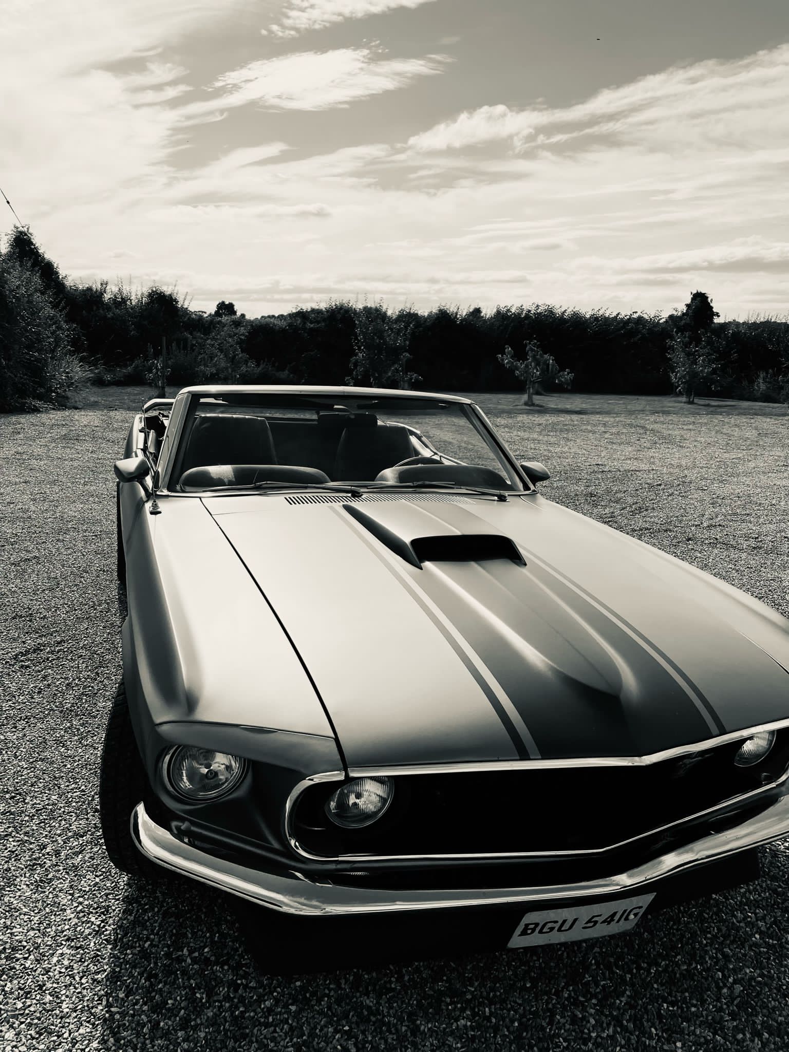 1969 FORD MUSTANG CONVERTABLE. 302 cu.in. V8 CONVERSION. WITH HOLLIE FOUR BARREL CARB. ELECTRIC - Image 18 of 19