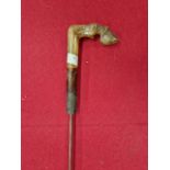 A 19TH CENTURY SWORD STICK, WITH MALACCA CANE AND CARVED HORN HANDLE.