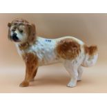 A STAFFORDSHIRE POTTERY GLASS EYED FIGURE OF A BROWN AND WHITE DOG WITH A GILT COLLAR. W 36cms.
