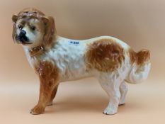 A STAFFORDSHIRE POTTERY GLASS EYED FIGURE OF A BROWN AND WHITE DOG WITH A GILT COLLAR. W 36cms.