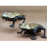 A PAIR OF BRASS AND IRON FROG FORM SPITTOONS, THE BRASS BODIES OPENING WITH THE AID OF TONGUE