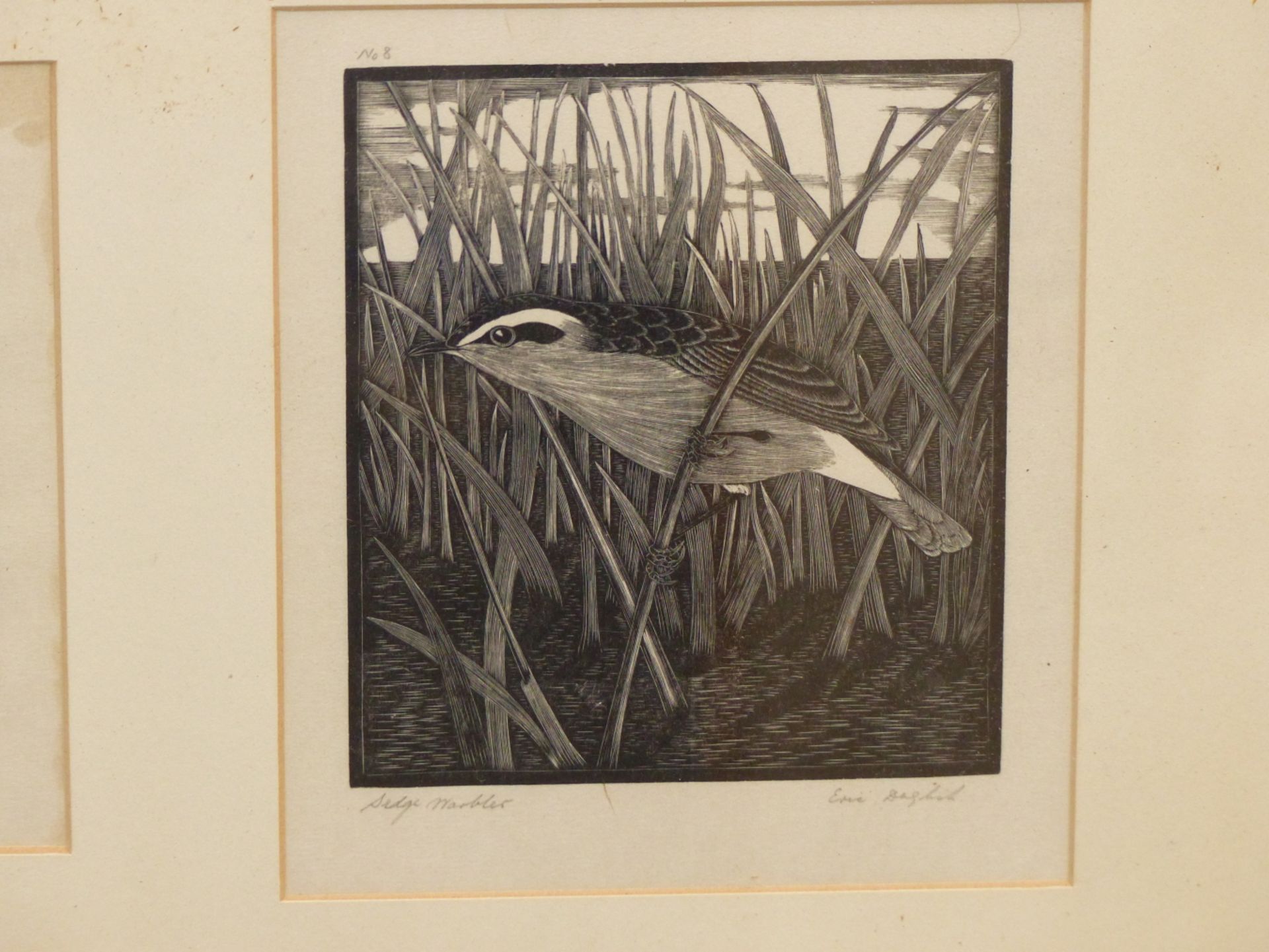 ERIC FITCH DAGLISH (1894-1964), A SET OF SIX BOOK ILLUSTRATIONS, "SWALLOW & MARTIN", "TEAL", SEDGE - Image 4 of 8