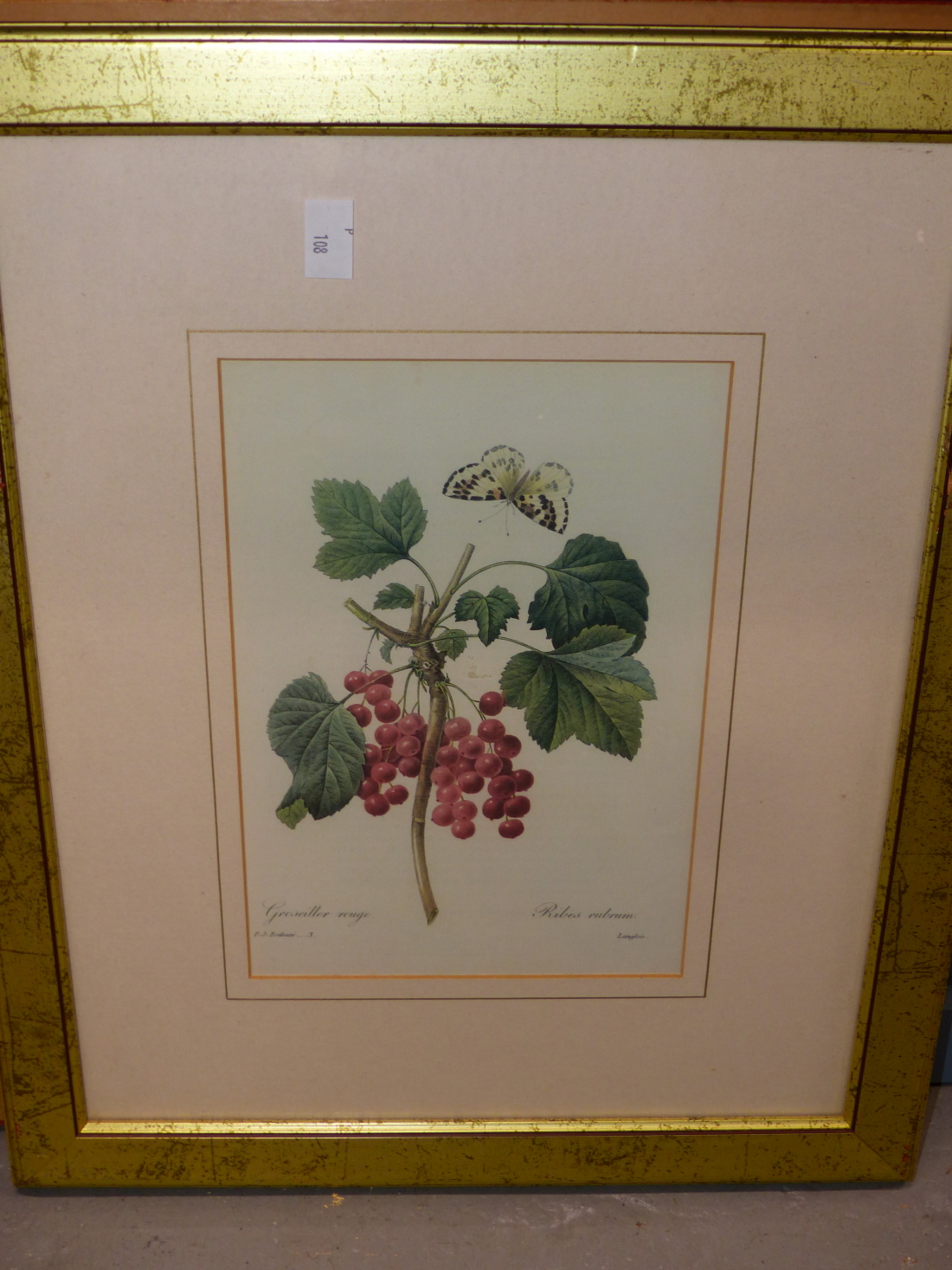 AN ENGRAVING OF OXFORD FROM THE ISIS, TOGETHER WITH A SET OF FOUR BOTANICAL PRINTS. (5) - Image 4 of 6