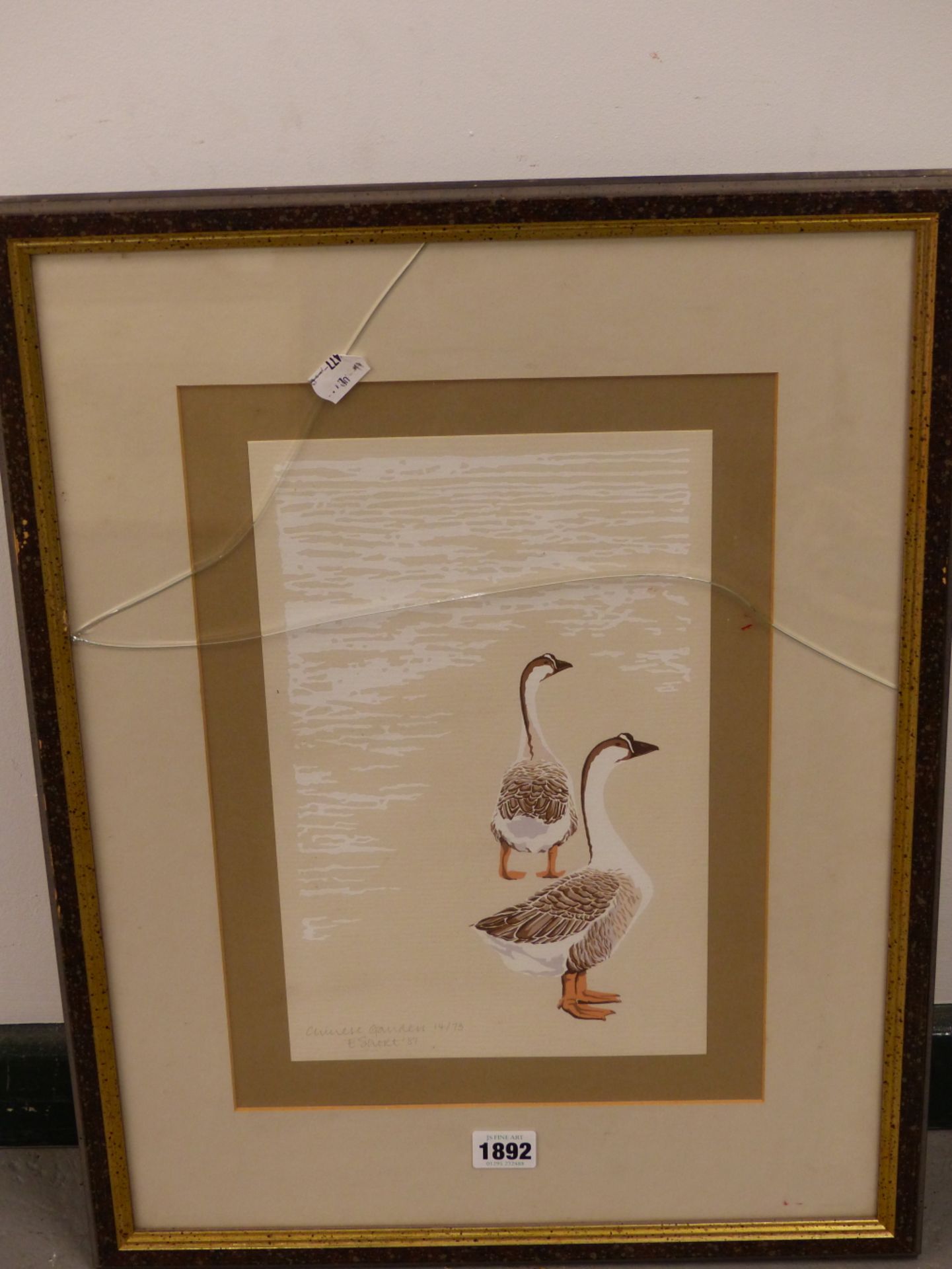 E. SHORT (20TH CENTURY), TWO ORNITHOLOGICAL PRINTS COMPRISING CHINESE GANDERS AND BARNACLE GEESE, - Image 3 of 6