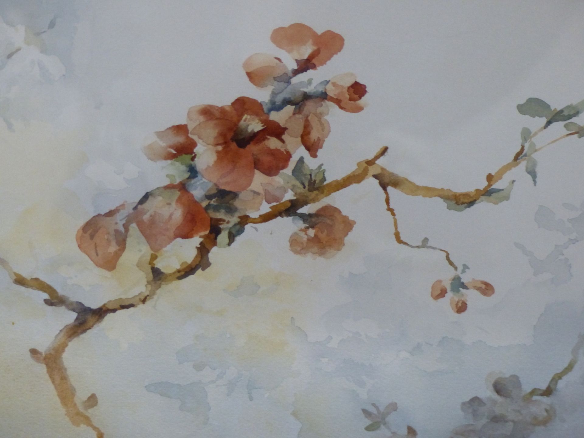 FRANCIS LEKE (1912-?), TWO WATERCOLOURS OF BLOSSOMS, BOTH SIGNED, SIZES VARY. (2) - Image 2 of 5