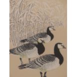 E. SHORT (20TH CENTURY), TWO ORNITHOLOGICAL PRINTS COMPRISING CHINESE GANDERS AND BARNACLE GEESE,