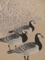 E. SHORT (20TH CENTURY), TWO ORNITHOLOGICAL PRINTS COMPRISING CHINESE GANDERS AND BARNACLE GEESE,