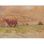 WILLIAM A STEWART (1882-1953) CATTLE ON A CLIFF TOP WITH CHALK CLIFFS BEYOND, SIGNED AND DATED 27,