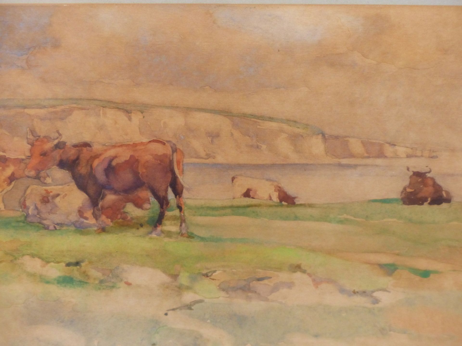 WILLIAM A STEWART (1882-1953) CATTLE ON A CLIFF TOP WITH CHALK CLIFFS BEYOND, SIGNED AND DATED 27,