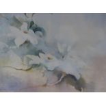 FRANCIS LEKE (1912-?), TWO WATERCOLOURS OF BLOSSOMS, BOTH SIGNED, SIZES VARY. (2)