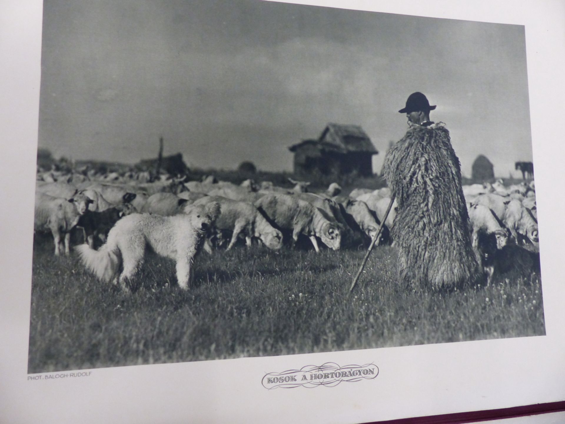 A FOLIO OF VINTAGE PRINTS OF PHOTOGRAPHS OF HUNGARIAN RURAL LIFE AFTER RUDOLF BALOGH (1879 -