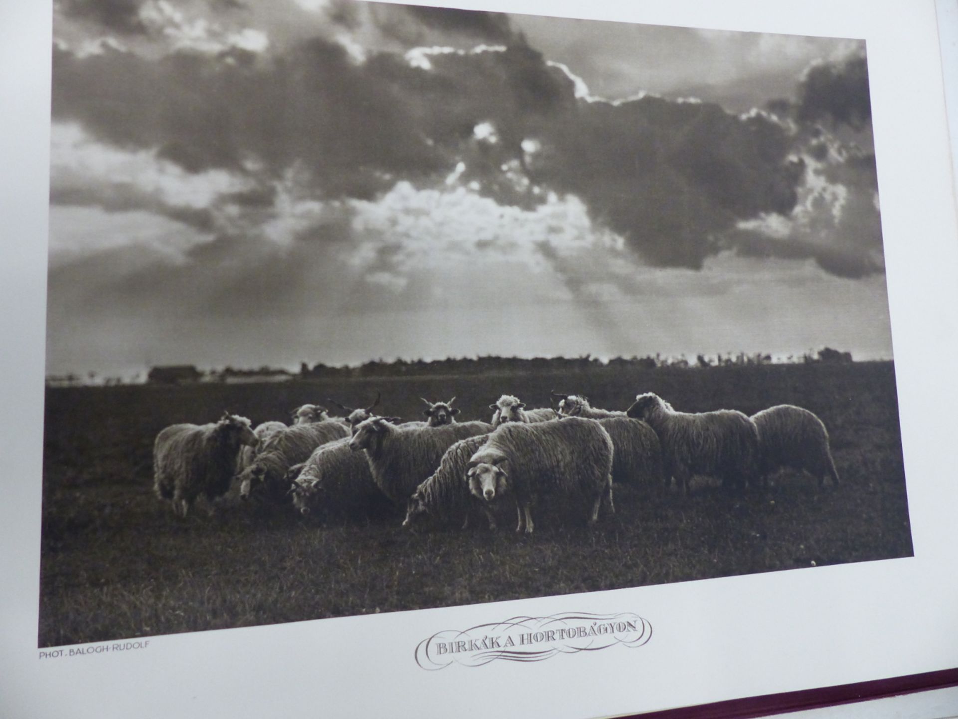 A FOLIO OF VINTAGE PRINTS OF PHOTOGRAPHS OF HUNGARIAN RURAL LIFE AFTER RUDOLF BALOGH (1879 - - Image 2 of 8