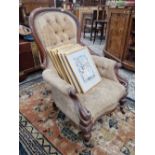 A large Victorian button back show frame armchair.