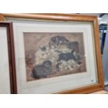 Victorian framed and glazed Pears print. Cats and kittens.