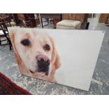 A large print of a Golden Retriever.