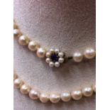 A opera length row of  slightly graduated cultured pearls complete with a 9ct gold stamped