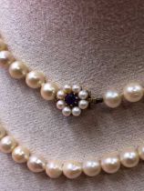 A opera length row of  slightly graduated cultured pearls complete with a 9ct gold stamped