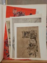 A FOLIO OF VARIOUS PRINTS TO INCLUDE SOME BY RUSSIAN ARTISTS. (PARCEL)
