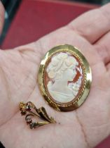 A 9ct hallmarked gold cameo portrait brooch, together with a 9ct hallmarked gold gemset brooch.Gross