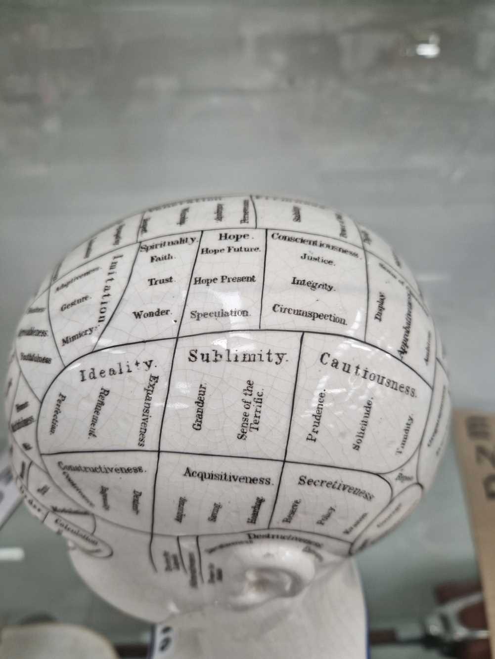 A 19th C. Fowler phrenology head and wood stand - Image 11 of 16