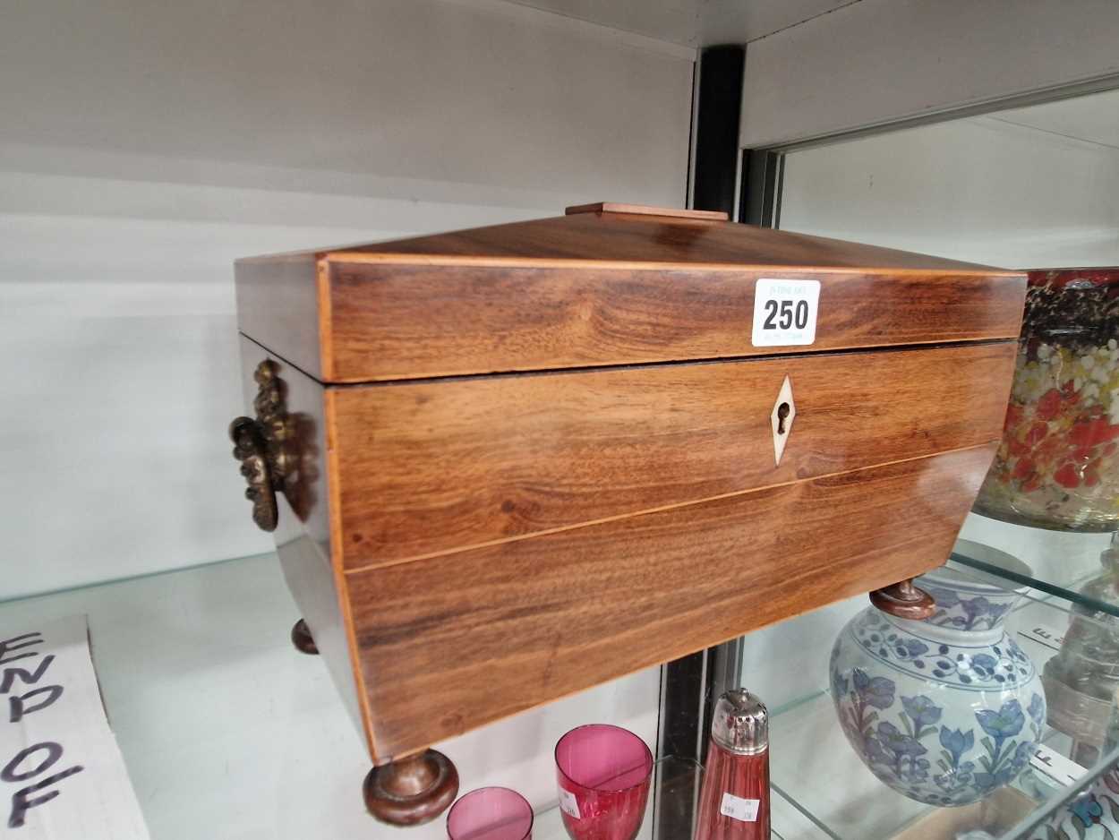 A Regency mahogany sarcophagus tea caddy