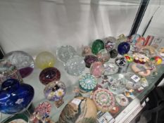 A collection of mainly glass paperweights