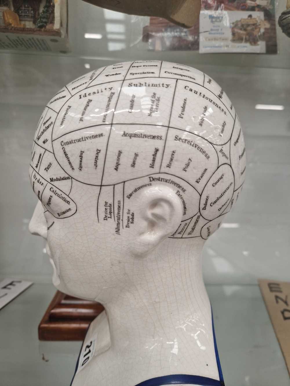 A 19th C. Fowler phrenology head and wood stand - Image 10 of 16