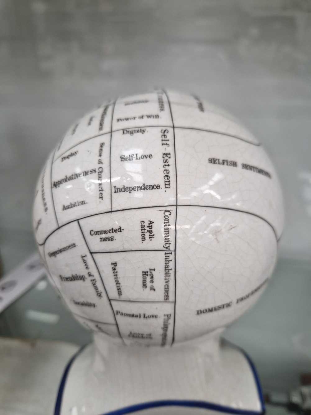 A 19th C. Fowler phrenology head and wood stand - Bild 8 aus 16