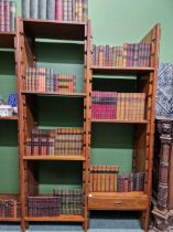 A good run of Bespoke antiquarian book spine bookcase fillers.
