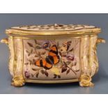 A Derby two handled bough pot and cover painted with a butterfly panel, daisies and other flowers,