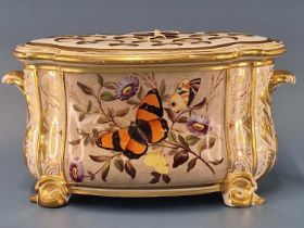 A Derby two handled bough pot and cover painted with a butterfly panel, daisies and other flowers,