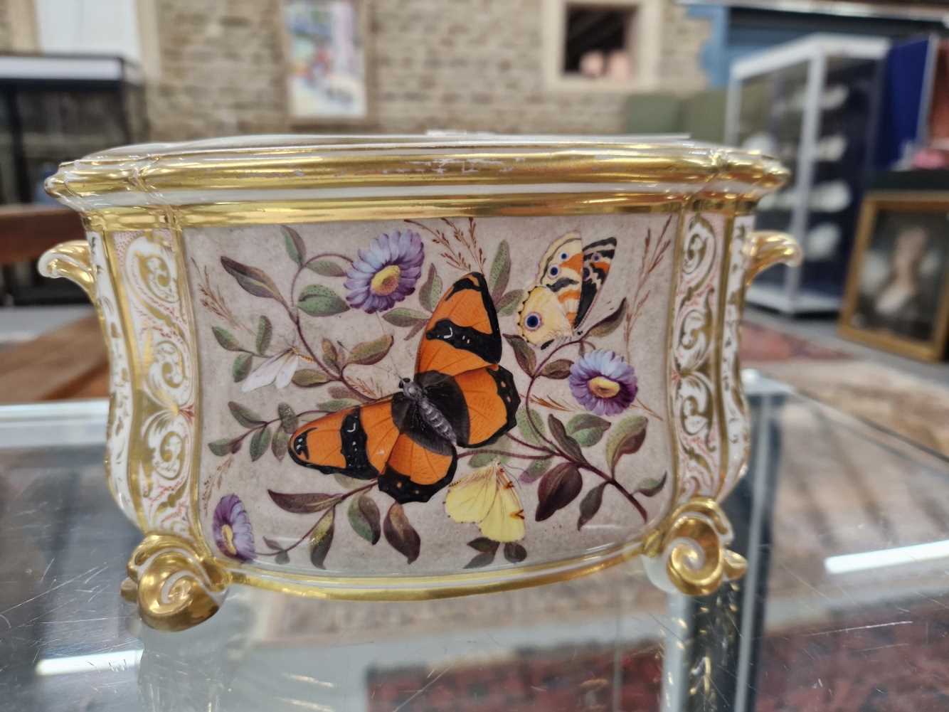 A Derby two handled bough pot and cover painted with a butterfly panel, daisies and other flowers, - Image 3 of 11