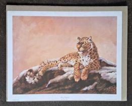 SILVIA DURAN - SNOW LEOPARD (unmounted) 350 x 445 mm.