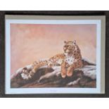 SILVIA DURAN - SNOW LEOPARD (unmounted) 350 x 445 mm.