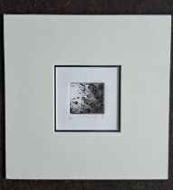 R McCAFFERTY - RIPPLES, LIMITED EDITION 1/50. 250 x 250 mm