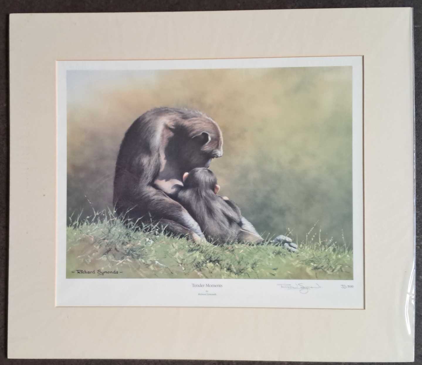 RICHARD SYMONDS - TENDER MOMENTS LIMITED EDITION 33/500. 440 x 505 mm