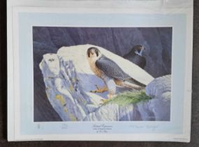 TREVOR BOYER - SCOTTISH EXPERIENCE - A PAIR OF PEREGRINE FALCONS (unmounted), LIMITED EDITION 794/