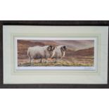 ANDREW HUTCHINSON - PAIR OF SHEEP LIMITED EDITION 255/390. 310 x 560 mm