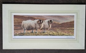 ANDREW HUTCHINSON - PAIR OF SHEEP LIMITED EDITION 255/390. 310 x 560 mm