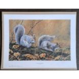 PAUL JAMES - AUTUMN SQUIRRELS (unmounted) LIMITED EDITION 51/850. 395 x 535 mm