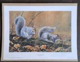 PAUL JAMES - AUTUMN SQUIRRELS (unmounted) LIMITED EDITION 51/850. 395 x 535 mm