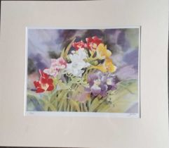 JANET WHITTLE - FREESIA'S LIMITED EDITION 27/500. 440 x 510 mm