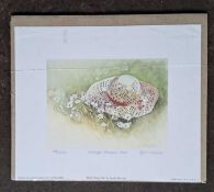SANDRA McCABE - MOLLY'S STRAW HAT (unmounted) LIMITED EDITION 28/850. 250 x 300 mm