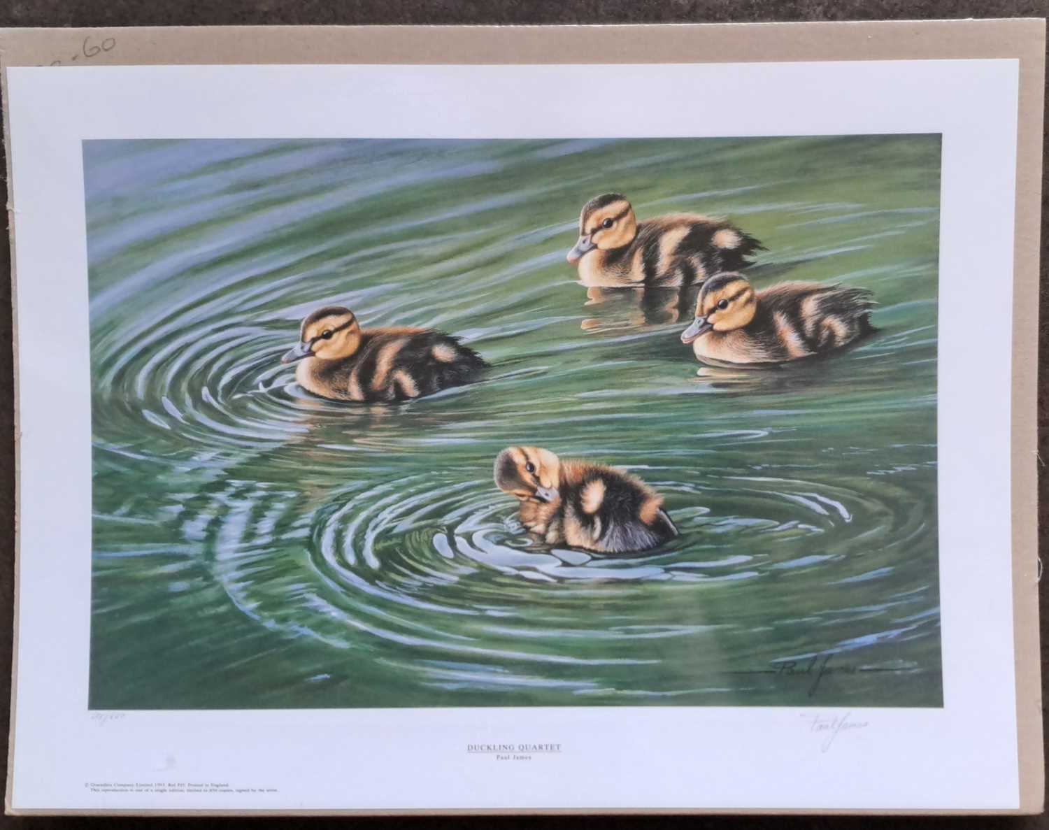 PAUL JAMES - DUCKLING QUARTET (unmounted) LIMITED EDITION 698/850. 295 x 535 mm