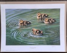 PAUL JAMES - DUCKLING QUARTET (unmounted) LIMITED EDITION 698/850. 295 x 535 mm